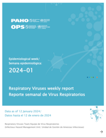 Regional Update, Influenza And Other Respiratory Viruses ...