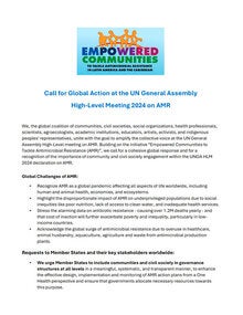 Call to action UNGA 2024