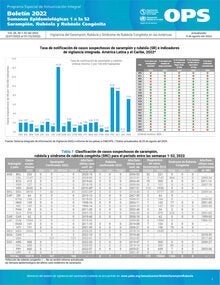 sarampión rubéola boletín anual 2022