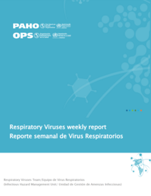 Cover Actualización regional, Influenza y otros virus respiratorios. Semana Epidemiológica 28 (19 de julio del 2024)