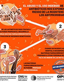 Infografías - Resistencia a los antimicrobianos