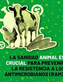 Redes sociales - Carrusel - Antimicrobianos