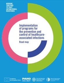 Implementation of programs for the prevention and control of healthcare-associated infections: Road map