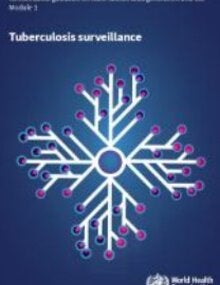 Consolidated guidance on tuberculosis data generation and use: module 1: tuberculosis surveillance