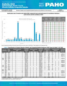 Measles rubella anual bulletin 2023