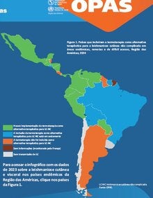 Leishmanioses: informe epidemiológico da Região das Américas. Nº 13, dezembro de 2024