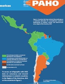 Leishmaniasis: Epidemiological Report for the Americas. No.13, December 2024