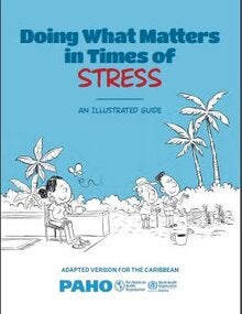 Doing What Matters In Times Of Stress: An Illustrated Guide. Adapted ...