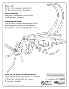 Coloring Sheet - Aedes
