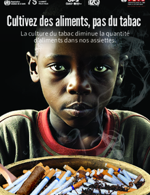 Journée mondiale sans tabac le 31 mai : les conseils d'Aline