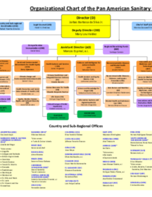 Organizational Chart of the Pan American Sanitary Bureau - PAHO/WHO ...