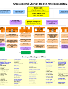 Organizational Chart of the Pan American Sanitary Bureau - PAHO/WHO ...