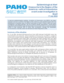 Epidemiological Alert Oropouche In The Region Of The Americas: Vertical ...