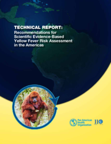 40916 2013 Cha Technical Report Recommendations Yellow Fever ?itok=5 WKoVOz