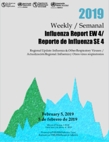 Regional Update, Influenza. Epidemiological Week 4 - February 5, 2019 ...