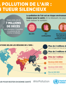 Pack De 6 Infographies La Pollution De L Air 18 French Version Paho Who Pan American Health Organization