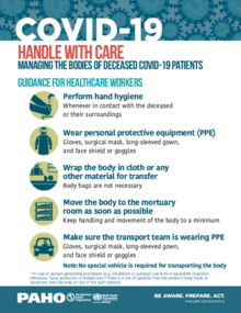 Infographic: Managing the bodies of deceased COVID-19 patients by ...