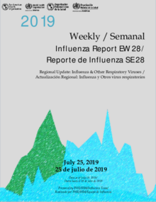 Regional Update, Influenza. Epidemiological Week 28 - July 25, 2019 ...