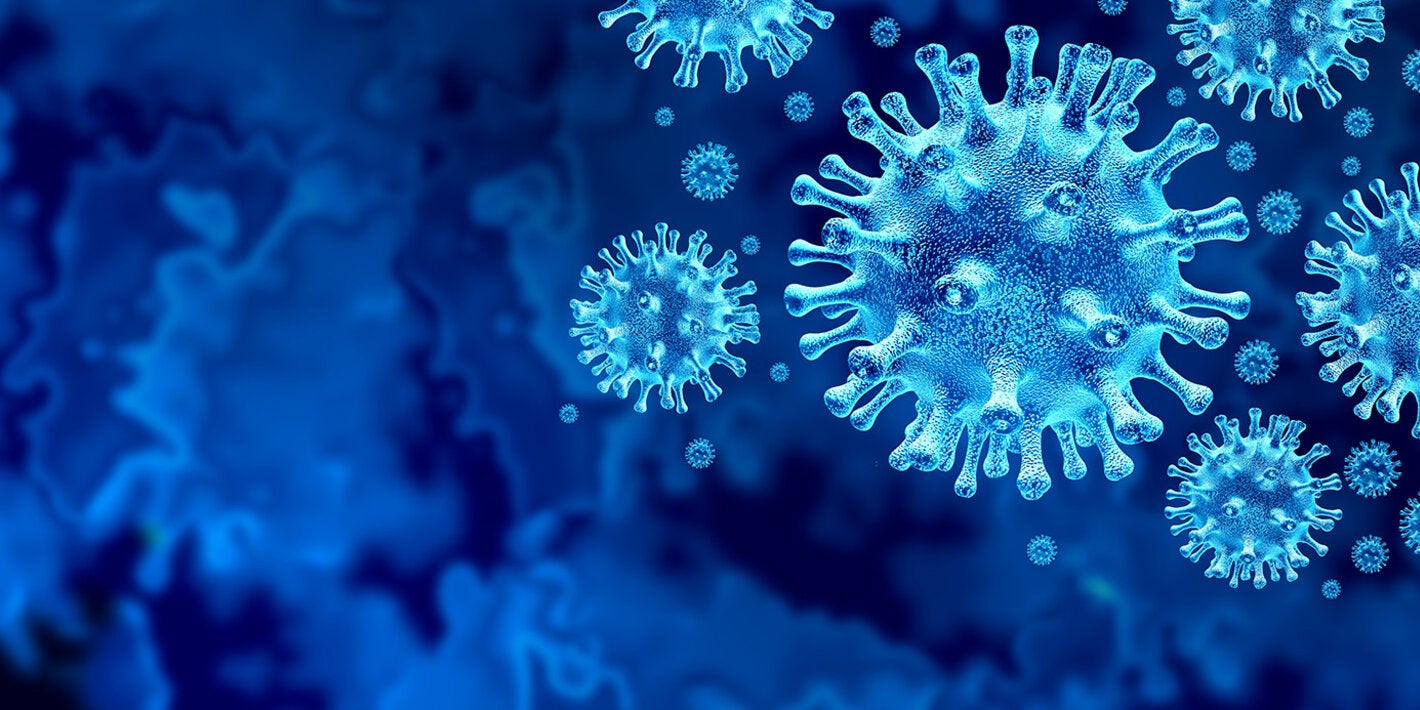 PAHO Director and Experts Brief Health Ministers on Novel Coronavirus COVID-19 Pandemic - PAHO/WHO - Pan American Health Organization