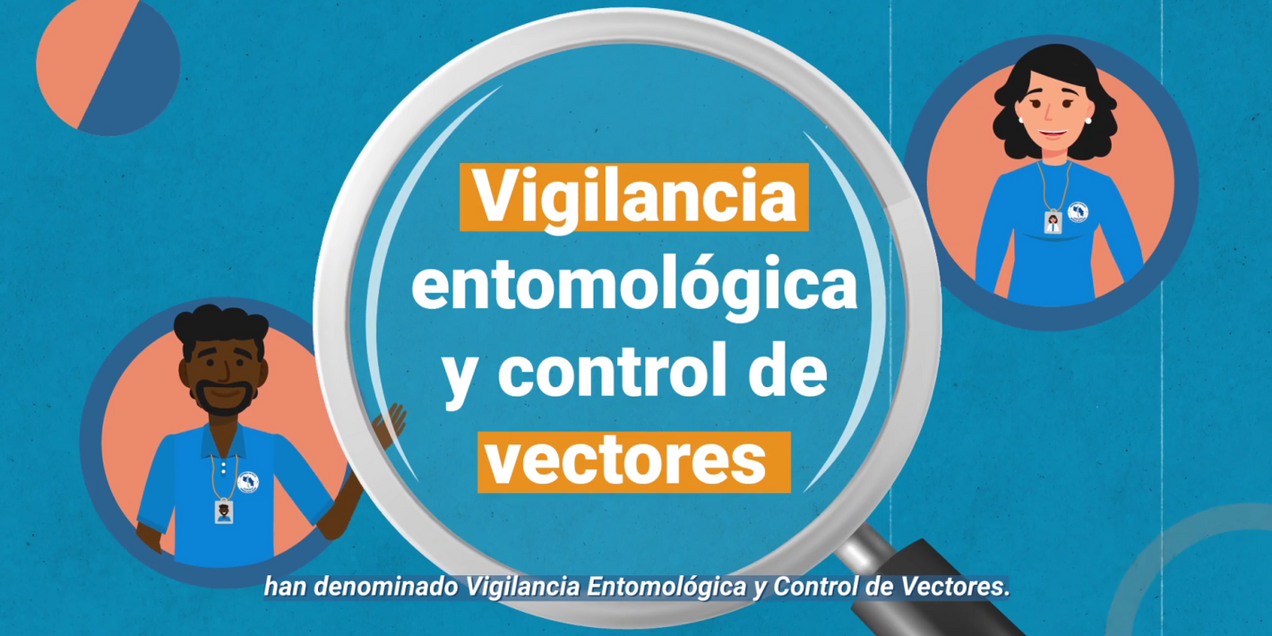 Vigilancia entomológica y control vectorial
