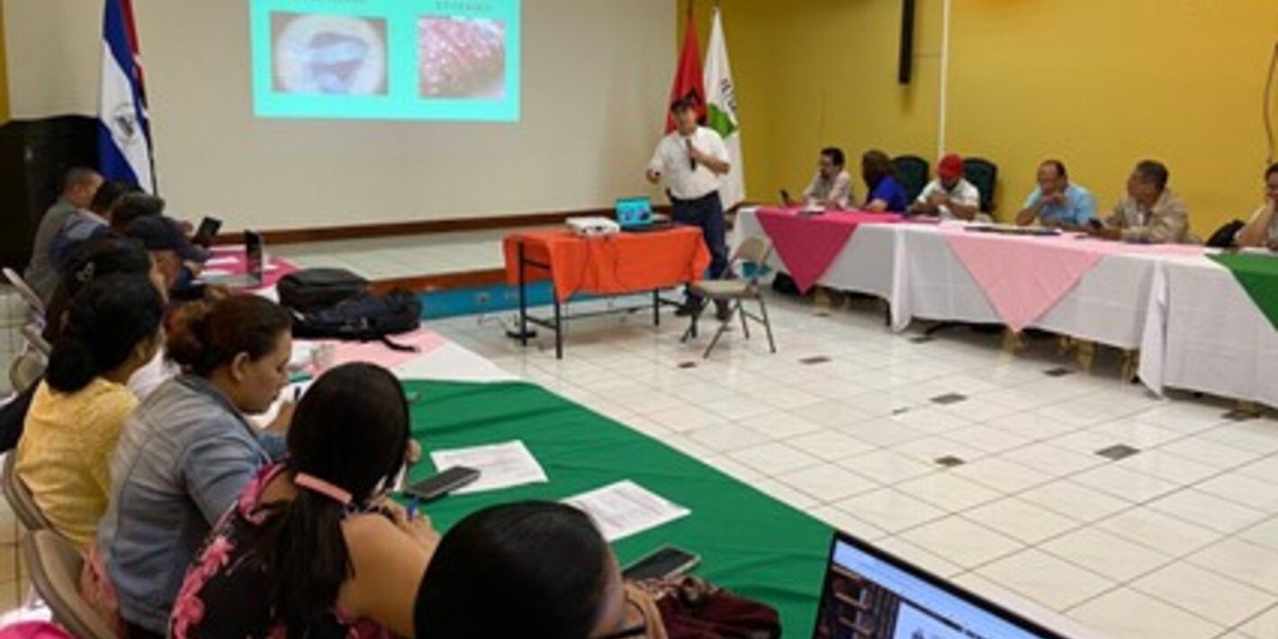 Taller para el abordaje del controlde la teniasis/cisticercosis