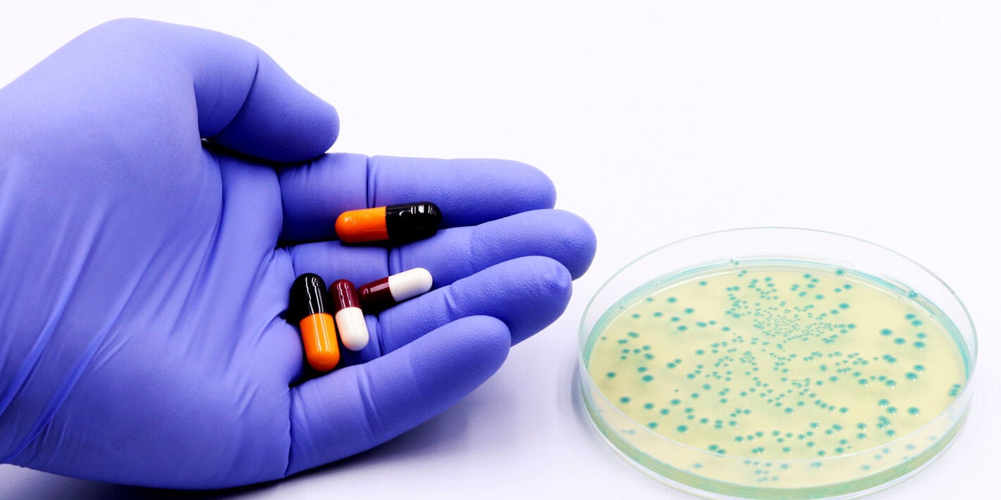 Bacteria in a Petri dish and in the hand of a doctor or researcher antibiotics or drugs.