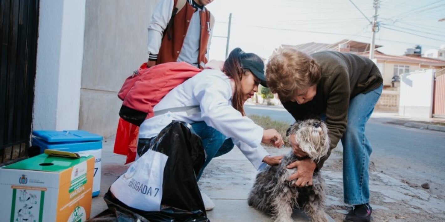 Health worker in Bolivia vaccinates a dog on the street while its owner holds it