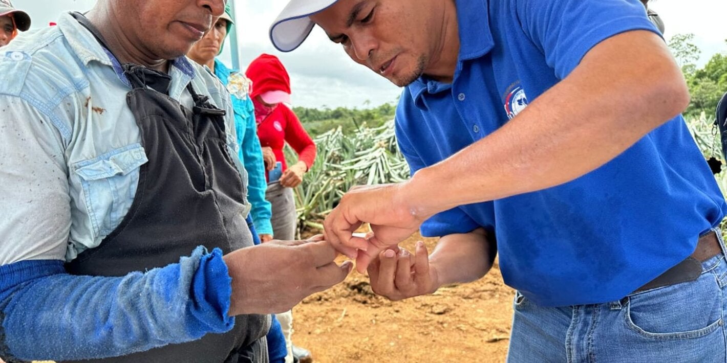  81 / 5,000 Health inspector performing a rapid malaria test on a farm worker