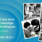 Séminaire en ligne pour célébrer 30 ans des Amériques sans polio sauvage