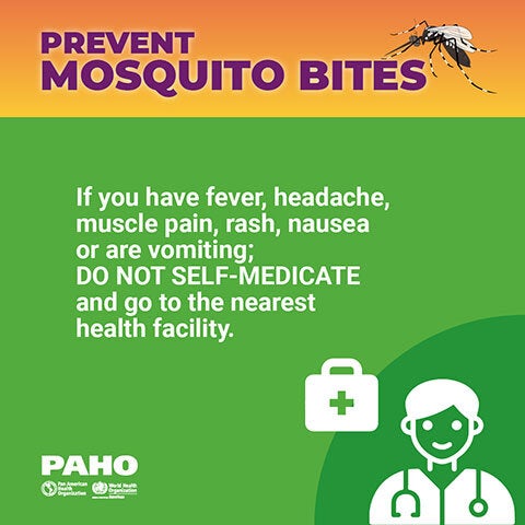 Mosquito bites prevention