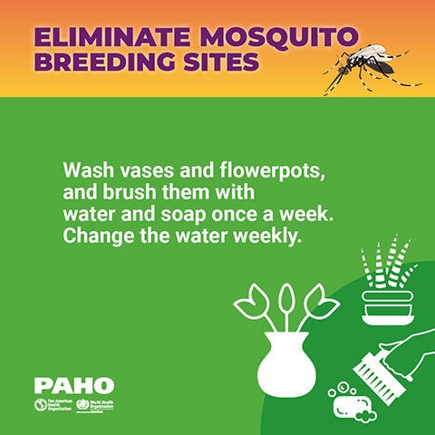 Mosquito Breeding Sites 