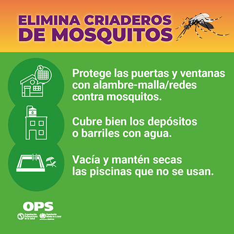 Poster: Signos de alarma de gravedad del dengue