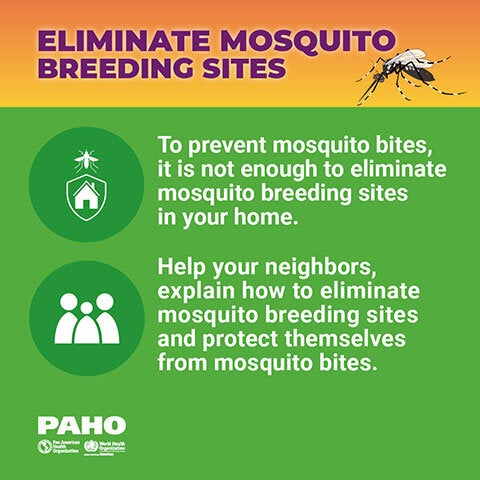Mosquito Breeding Sites 