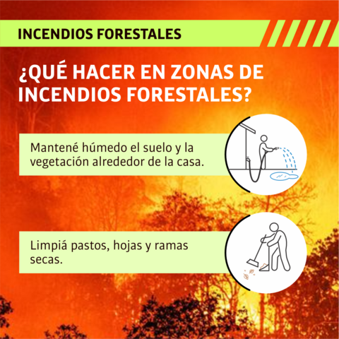 ¿Qué hacer en zonas de incendios forestales?