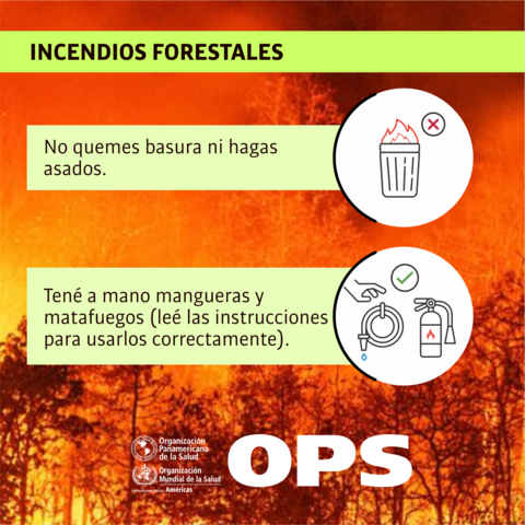 ¿Qué hacer en zonas de incendios forestales?