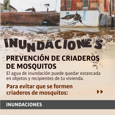 Inundaciones: prevención de criaderos de mosquitos