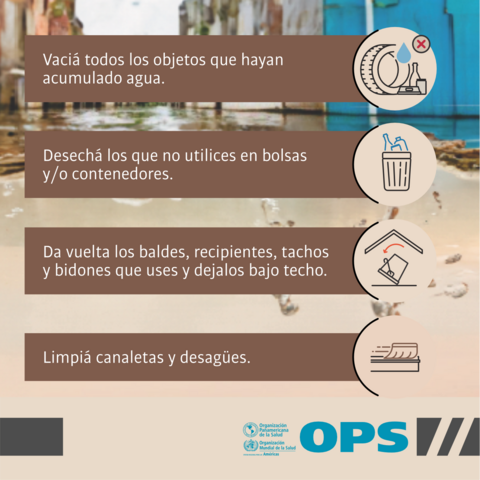 Inundaciones: prevención de criaderos de mosquitos