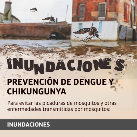 Inundaciones: prevención de dengue y Chikungunya