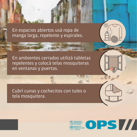 Inundaciones: prevención de dengue y Chikungunya