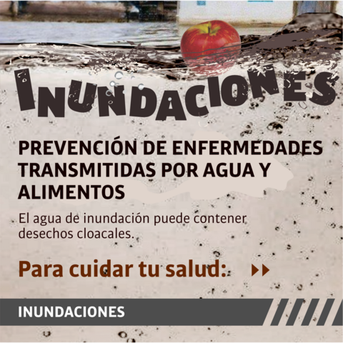 Inundaciones: prevención de enfermedades transmitidas por agua y alimentos