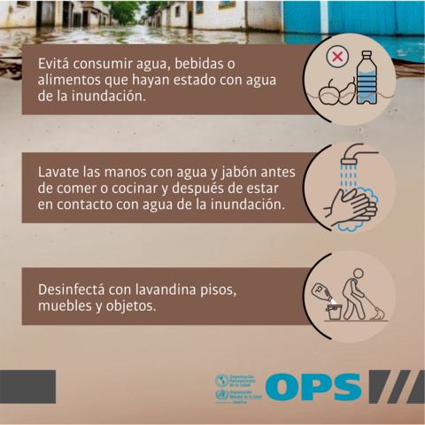 Inundaciones: prevención de enfermedades transmitidas por roedores