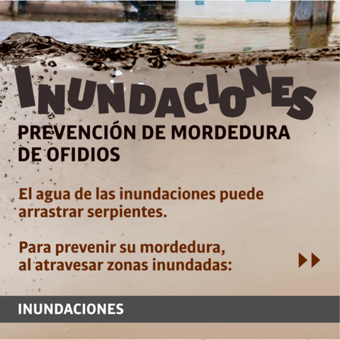 Inundaciones: prevención de moderduras por ofidios