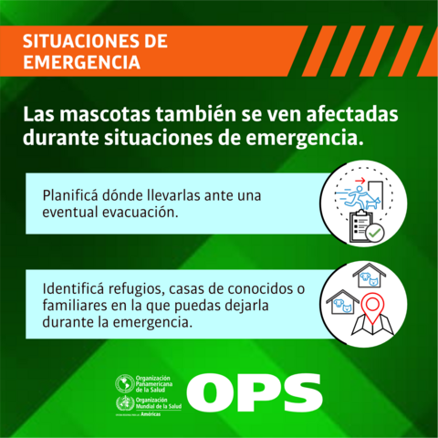 Situaciones de emergencia: mascotas