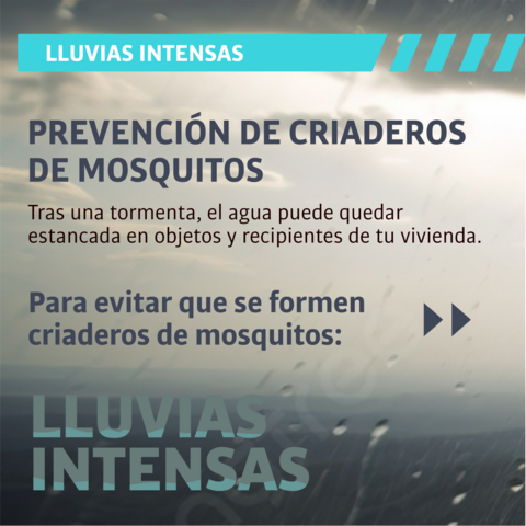 Lluvias intensas: prevención de criadero de mosquitos