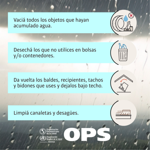 Lluvias intensas: prevención de criadero de mosquitos