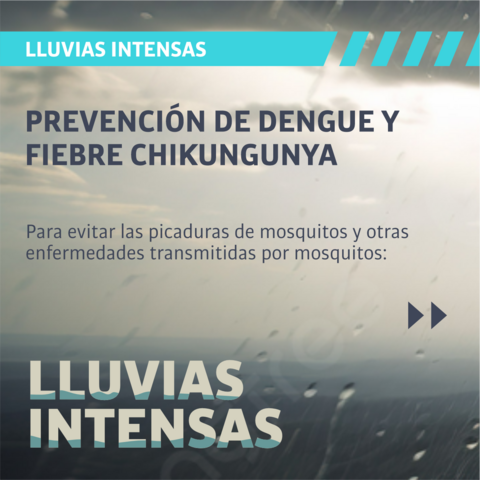 Lluvias intensas: prevención del dengue y fiebre Chikungunya