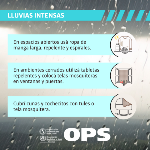 Lluvias intensas: prevención del dengue y fiebre Chikungunya