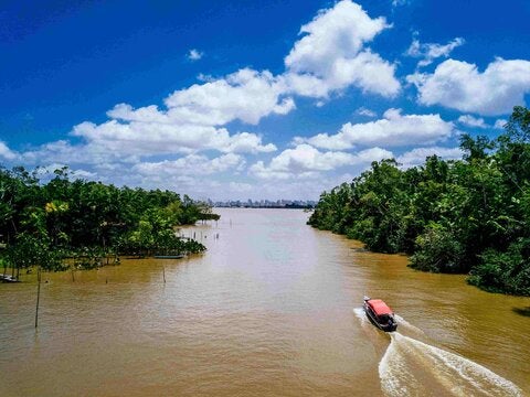 Wide angle shot of a boat riding on a river and passing through the trees