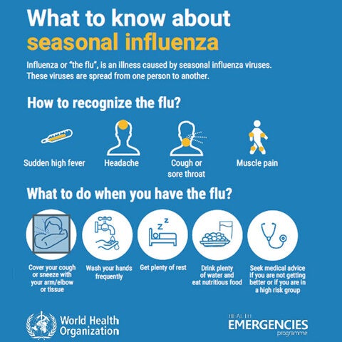 Jamaica On Alert For Influenza - PAHO/WHO | Pan American Health ...