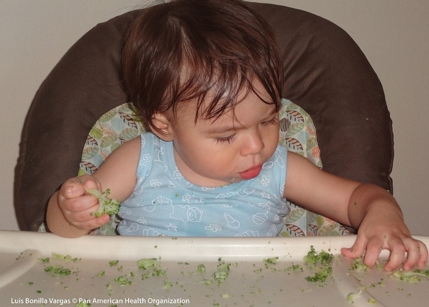 Alimentación infantil